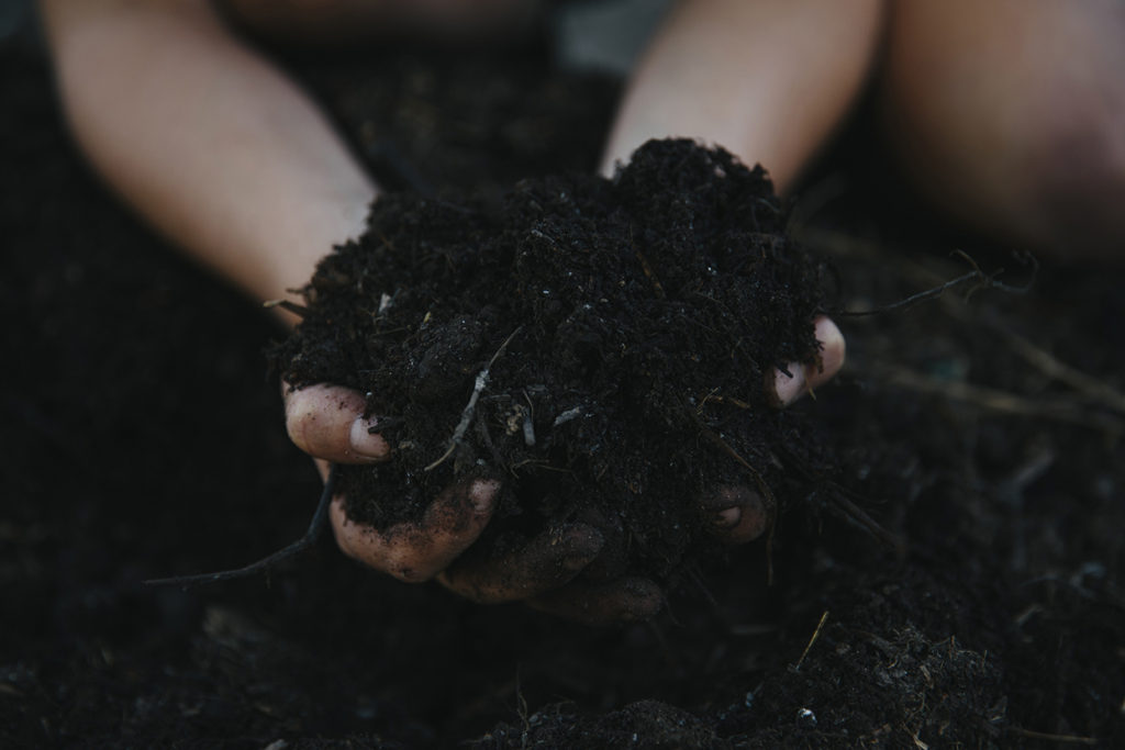 dirt_rich-8894